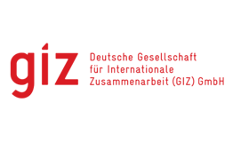giz logo